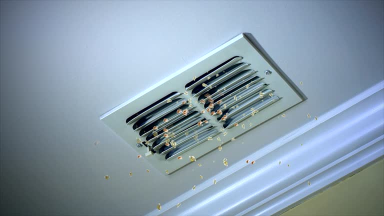Best Air Duct Cleaning Near Me in South Haven, MI