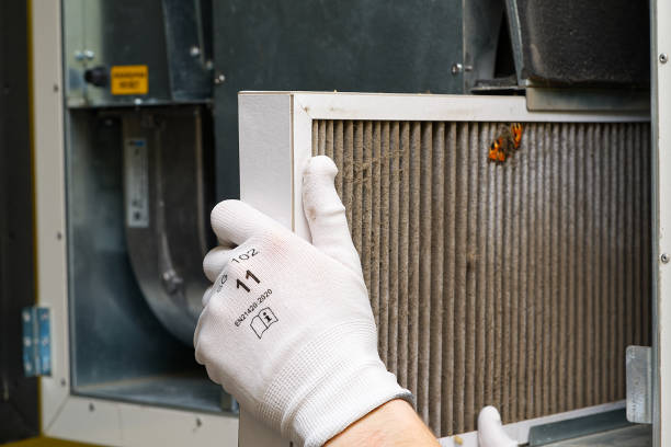 Best Professional Duct Cleaning Services  in South Haven, MI